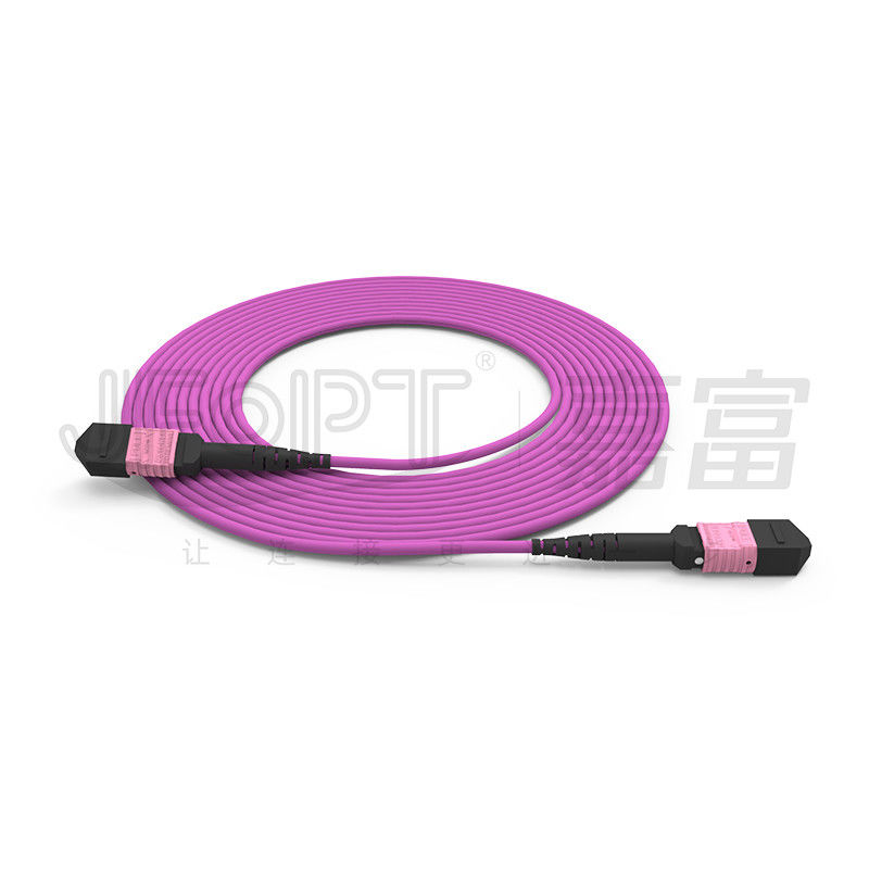 100G MTPのパッチ・コード24の中心多重モードOM4 50/125 LSZH 3.0-4.0mm Heatherのすみれ色のジャンパー