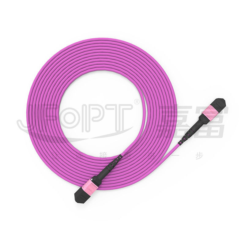 100G MTPのパッチ・コード24の中心多重モードOM4 50/125 LSZH 3.0-4.0mm Heatherのすみれ色のジャンパー