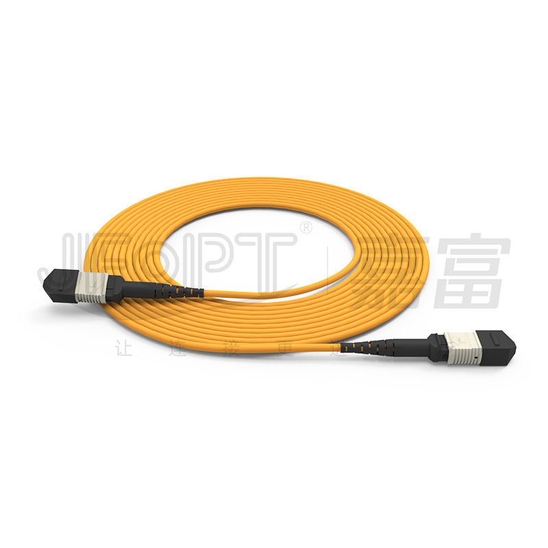 850nm マルチモード低損失フェルル MPO トランクケーブル 多コア光ファイバーパッチコード